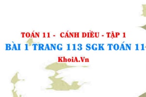 Bài 1 trang 113 SGK Toán 11 tập 1 Cánh Diều